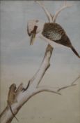 G A WRIGHT (Australian), A Lizard and a Kookaburra, watercolour, signed and dated 1913,