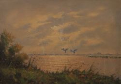 Ducks in Flight, oil on canvas, indistinctly signed, framed. 69.5 x 49.5 cm.