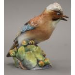 A Royal Worcester porcelain model of a jay. 15.5 cm high.