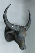 A Victorian taxidermy specimen of a preserved Water buffalos (Babalus babalis) head by Rowland Ward