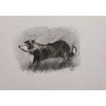 Manner of JOHN KYFFIN WILLIAMS OBE RA (1918-2006) British, Sheepdog, pen and wash,