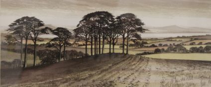 KATHLEEN CADDICK (born 1937) British, View From the Hillside, limited edition print,