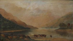 R FIELD, Cattle in a Loch, oil on canvas, signed and dated 1910, framed. 60 x 34.5 cm.
