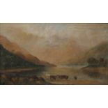 R FIELD, Cattle in a Loch, oil on canvas, signed and dated 1910, framed. 60 x 34.5 cm.