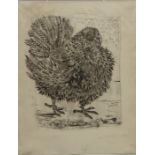 PABLO PICASSO, Sugarlift etching, The Turkey, 1936/1942 print issue, on Ambroise watermarked paper,
