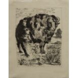 PABLO PICASSO, Sugarlift etching, The Ram (Buffon Series), 1936/1942 print issue,
