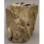A fossilized tree stump. 28 cm high.