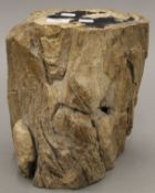 A fossilized tree stump. 28 cm high.