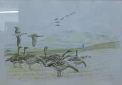 ANN BIGGS (20th/21st century) British, Geese in a Mountainous Landscape, pencil and watercolour,