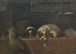 V B STEMP, Two King Charles Spaniels, oil on canvas, dated 2/24, framed and glazed. 39.5 x 29 cm.