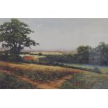 DAVID CRANE, Countryside Views, a pair of limited edition prints, framed and glazed. 40 x 28 cm.