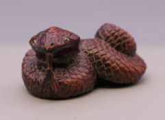 A snake form netsuke. 5 cm wide.
