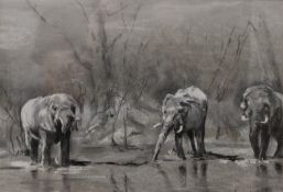 CATRIONA OGILVY, Elephants on Safari and Philip, two pastels; together with ROSEMARY HAYTON,