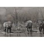 CATRIONA OGILVY, Elephants on Safari and Philip, two pastels; together with ROSEMARY HAYTON,