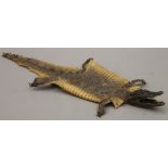 A vintage juvenile crocodile skin with head. 68 cm long.