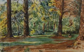T J REED, New Forest, signed and dated 1969, watercolour, framed and glazed. 28 x 18 cm.