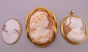 Three cameos; one mounted as a brooch, one mounted as a pendant. The largest 6.5 cm x 5.