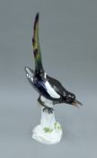 A Meissen porcelain model of a magpie. 53 cm high.