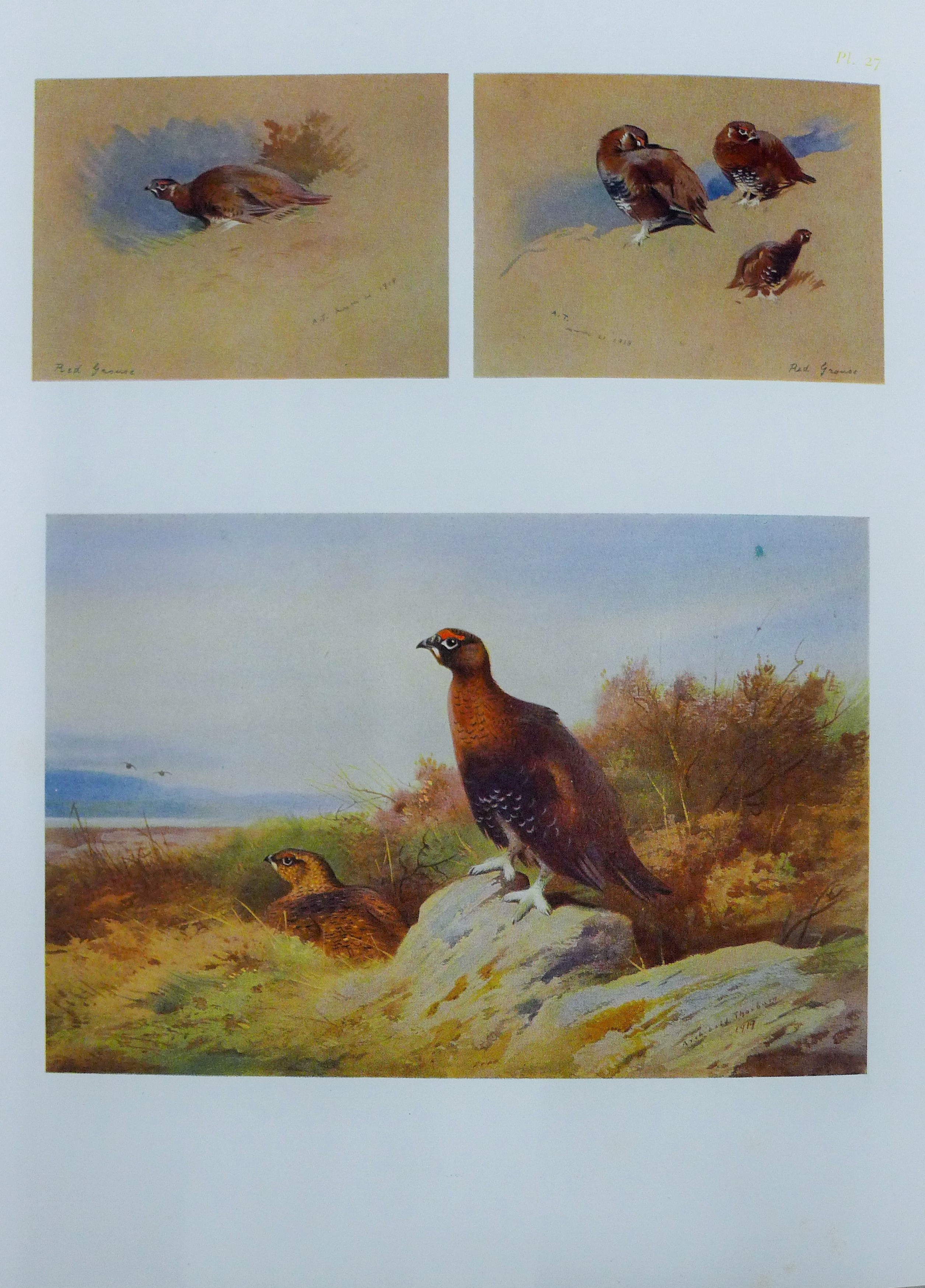 Archibald Thorburn, A Naturalist's Sketch Book, 1919, first edition, - Image 3 of 4