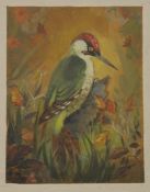 ROY STRINGFELLOW, Woodpecker, oil on board, framed. 33 x 41 cm overall.