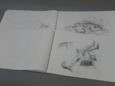 Two artist's sketch pads by Jan Seaman.