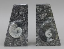 A pair of polished Ammonite bookends. 16 cm high.