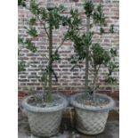 Pair of large composite garden urns, circular tapering lattice moulded bodies and shaped rim set