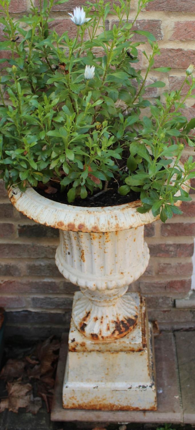 Pair of small cast iron garden urns, campagna shaped bodies on square base and tapering plinths,