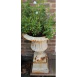 Pair of small cast iron garden urns, campagna shaped bodies on square base and tapering plinths,