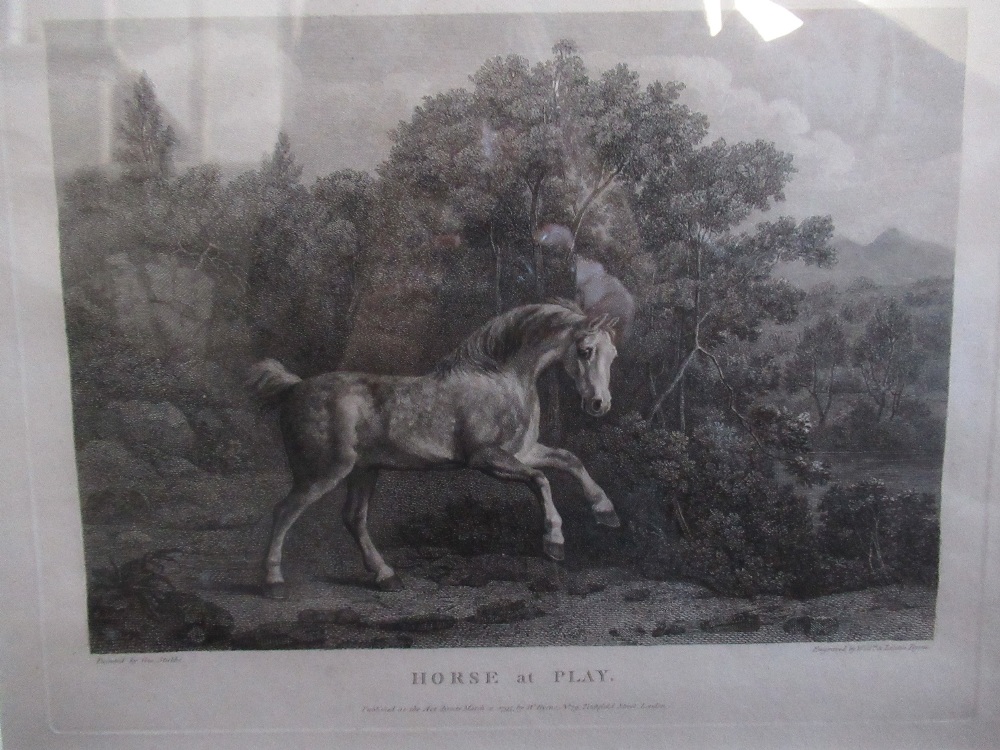 After George Stubbs, "Horse At Play" monochrome engraving by William Lititia Burne, published London - Image 2 of 2