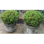 Pair of composite garden urns, tapering cylindrical banded bodies relief decorated with foliage, set