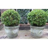 Pair of composite garden urns, tapering cylindrical banded bodies relief decorated with foliage, set