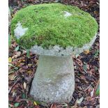 Pair of weathered composite staddle type stones, domed tops on square tapering pedestals, D48cm