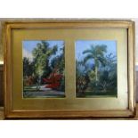 British Colonial School (20thC) "The Kings House Garden" two watercolors framed as one, titled on