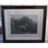 After George Stubbs, "Horse At Play" monochrome engraving by William Lititia Burne, published London
