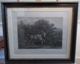 After George Stubbs, "Horse At Play" monochrome engraving by William Lititia Burne, published London