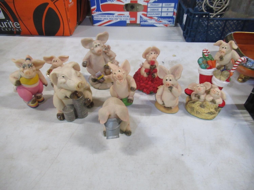 Nine Piggin figures by David Carbridge including Pregnant , Piggin Love, Piggin Half etc