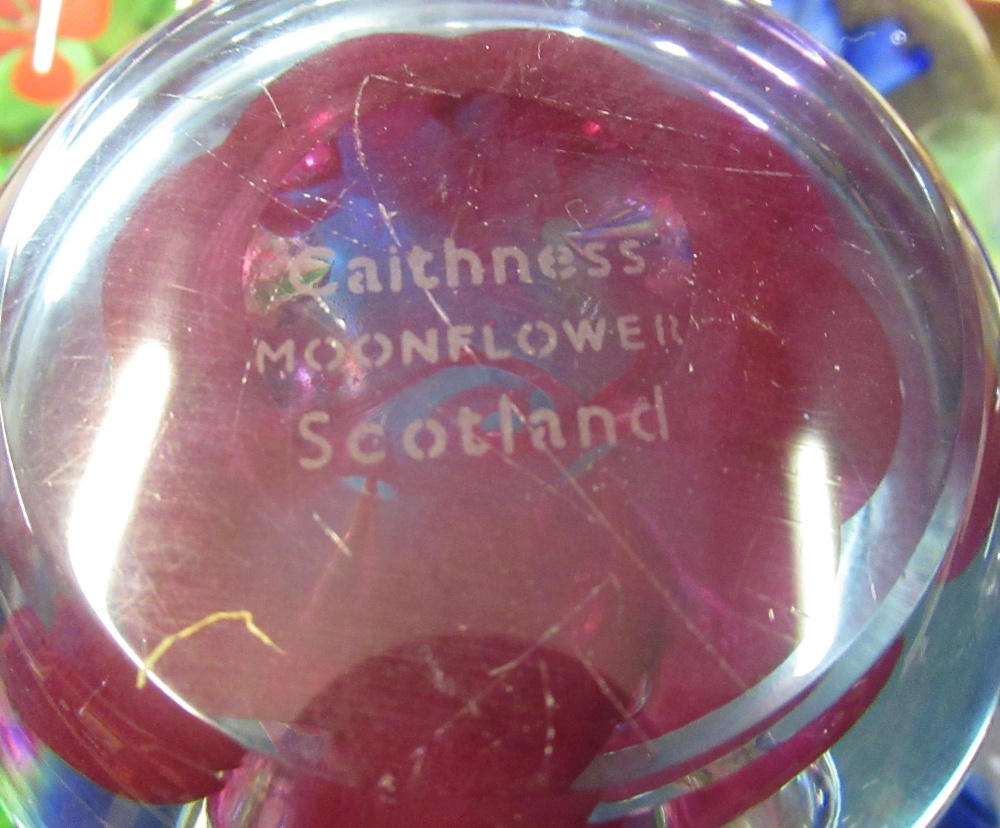 Collection of various sized paperweights, including Selkirk glass, Caithness Moonflower, etc - Image 7 of 9
