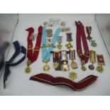 Large collection of Royal Antediluvian Order of Buffaloes medals and pins, including star shaped
