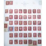 Collection of Great Britain stamps, incl. early material circa 1953, with some high face, mint and