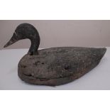 Early C20th American cork decoy duck, with lead balance weight, L45cm H20cm
