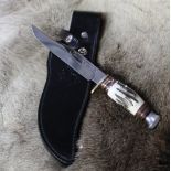 John Nowill & Sons Ltd of Sheffield bowie knife clip blade and antler handle with brass guard and