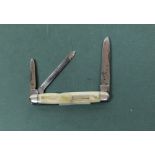 Triple bladed bone handled pocket knife by Taylor's Eyewitness, engraved on blade, blades L3" and