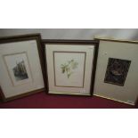 Watercolour of a Wren 16cm x 10cm, watercolour of a Lenten Rose and a Guido Cannizzo signed print of