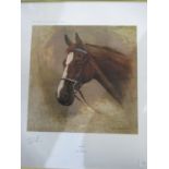 Limited edition print No 417/495 of Aldaniti by Susie Whitcombe signed by Bob Champion