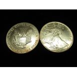 Two United States of America 1oz fine silver one dollar coins, in plastic sleeve