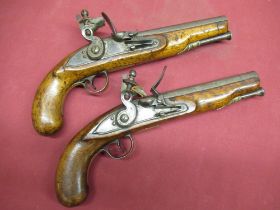 Pair of flintlock dragoon service style pistols, with 7" smooth bore barrels with proof markings,