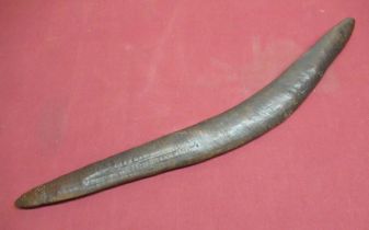 C19th/C20th Aboriginal boomerang, L60cm