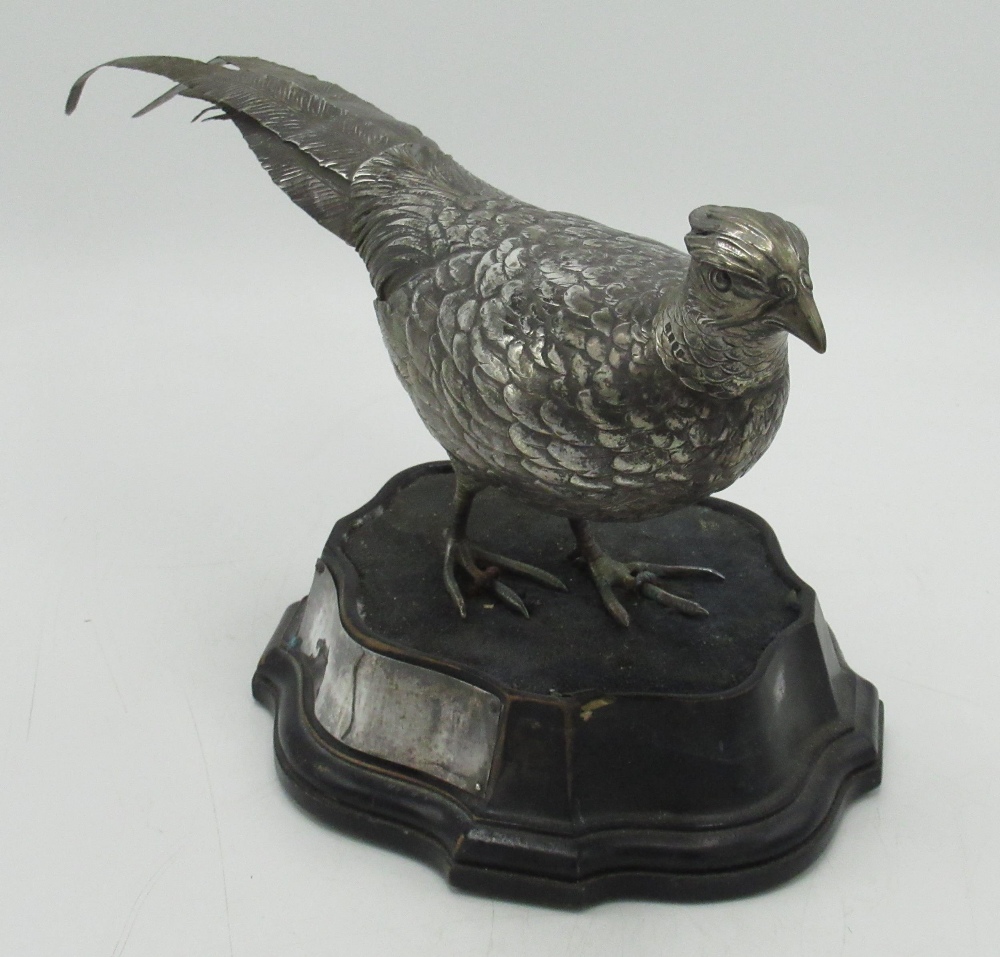 Edwardian Continental silver hallmarked model of a Cock pheasant with detachable head, import