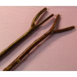 2 thumbstick walking sticks, one Hazel (127cm length), one in Cherry (144cm length).